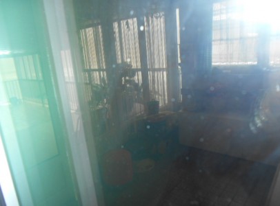 DSCN4381