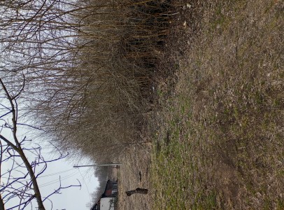 IMG_20250226_132209217_HDR