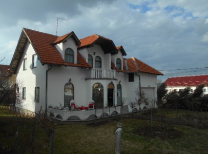 DSCN4313