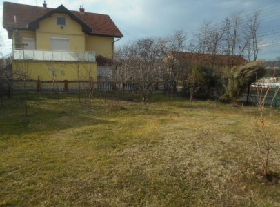 DSCN4319