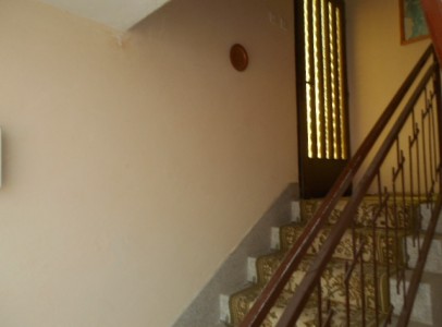 DSCN4354