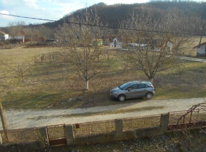 DSCN4370