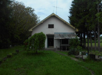 DSCN4464
