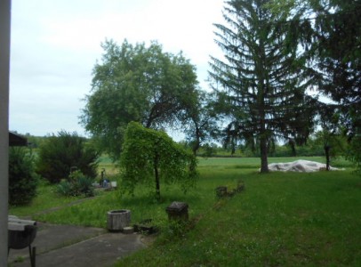 DSCN4467