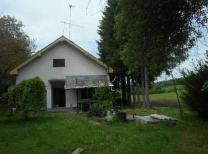 DSCN4477