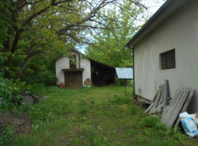 DSCN4479