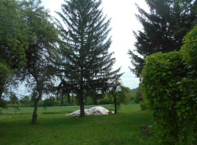 DSCN4481