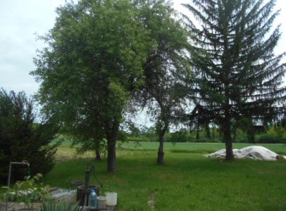 DSCN4482