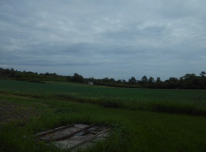 DSCN4484