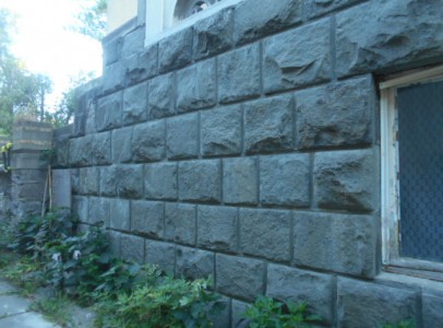 DSCN4592