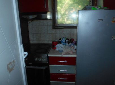 DSCN4600