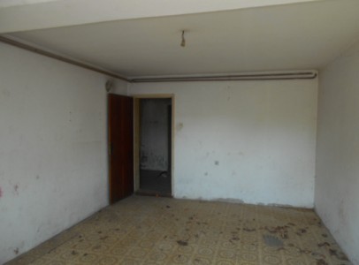 DSCN4672