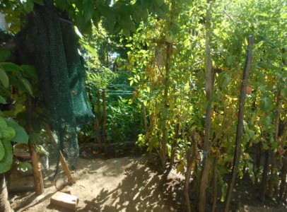 DSCN4703