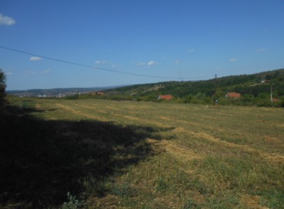 DSCN4706
