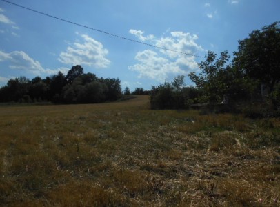 DSCN4707