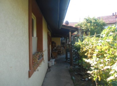 DSCN4741