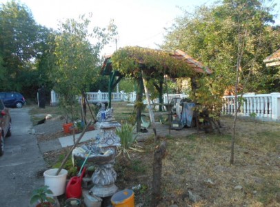 DSCN4156