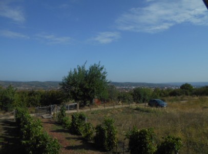 DSCN4754