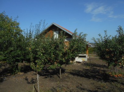 DSCN4760