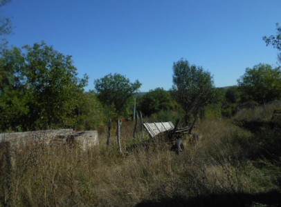 DSCN4782