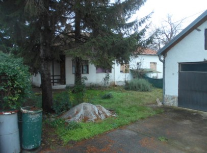 DSCN4868