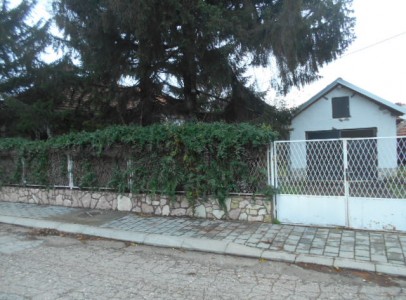 DSCN4870