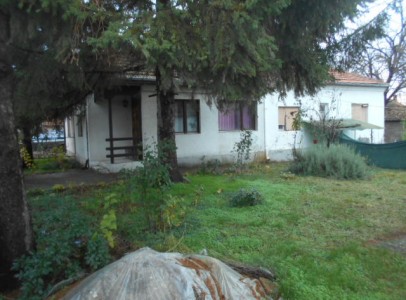DSCN4871