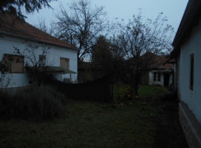 DSCN4873