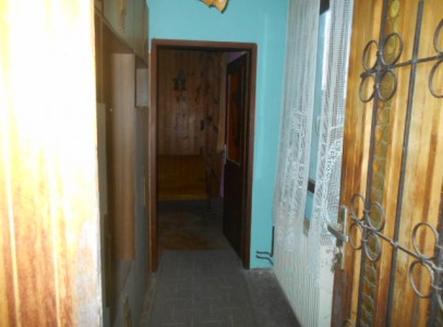 DSCN4875