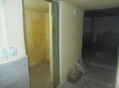 DSCN4930