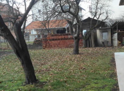 DSCN4946