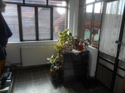 DSCN4953