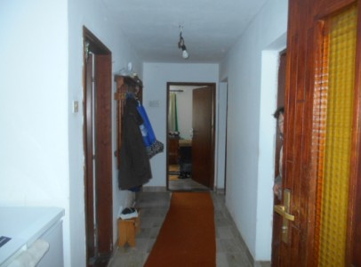 DSCN4962