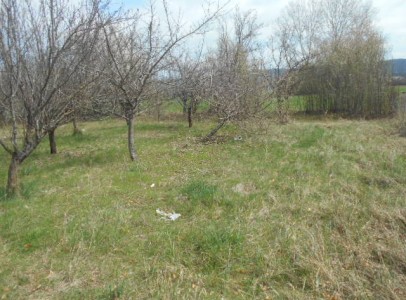 DSCN5052