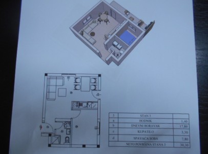 DSCN5065