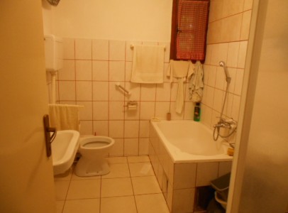 DSCN5168