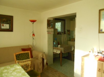 DSCN5172