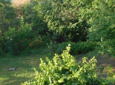 DSCN5186