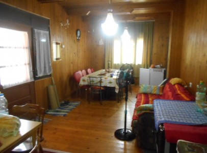 DSCN5207