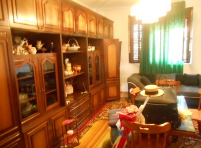 DSCN5208