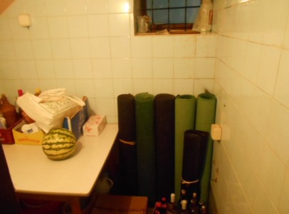 DSCN5210