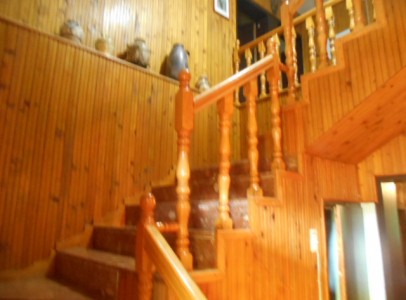 DSCN5211