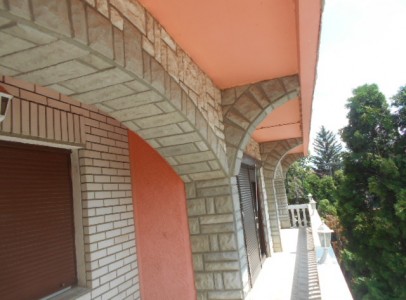 DSCN5214