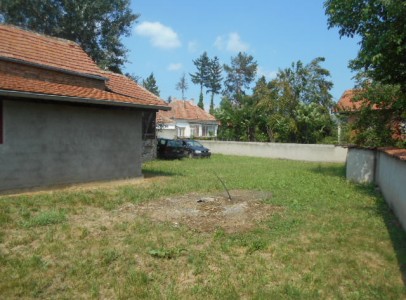 DSCN5234