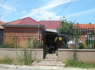 DSCN5253