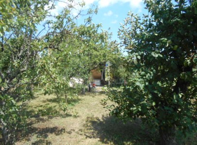 DSCN5269