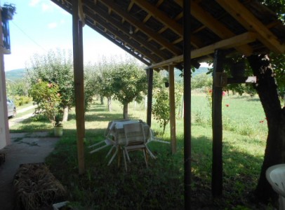 DSCN5279