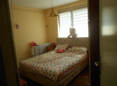 DSCN5293