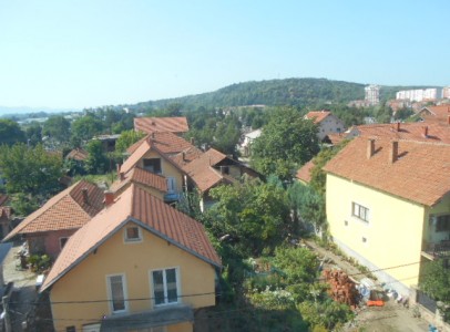 DSCN5301