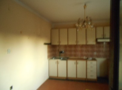 DSCN5303